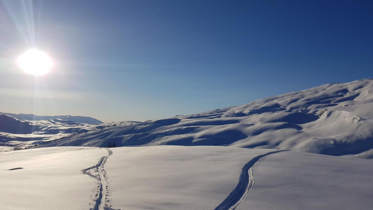 Mlodge - The Mountain Lodge Sogndal Buitenkant foto
