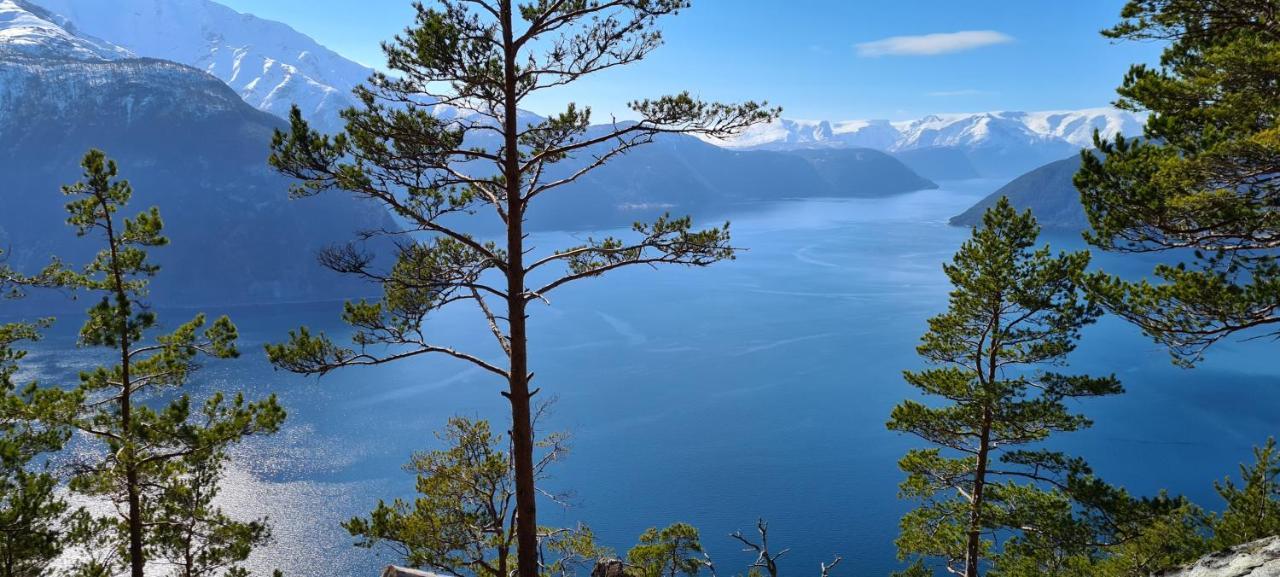 Mlodge - The Mountain Lodge Sogndal Buitenkant foto