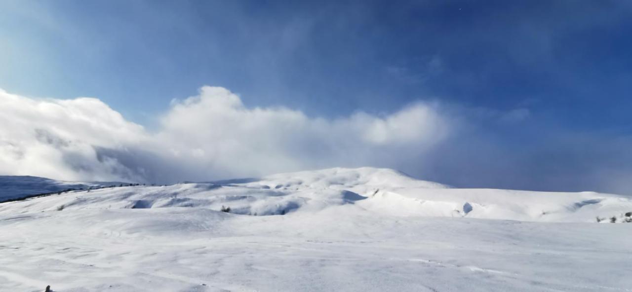 Mlodge - The Mountain Lodge Sogndal Buitenkant foto